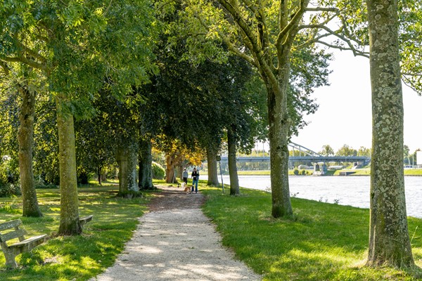 Medium property photo - Hendrika van Tussenbroeklaan 132, 3533 SZ Utrecht